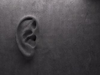 Ear listen wall_crop